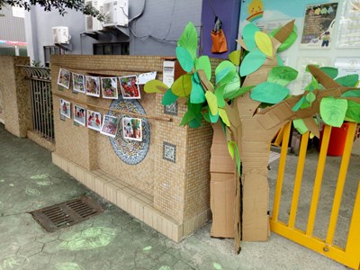 酪梨樹特展