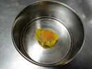 早點--燒賣