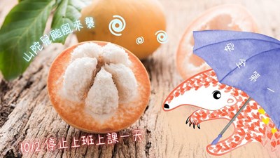 10/2停止上班上課