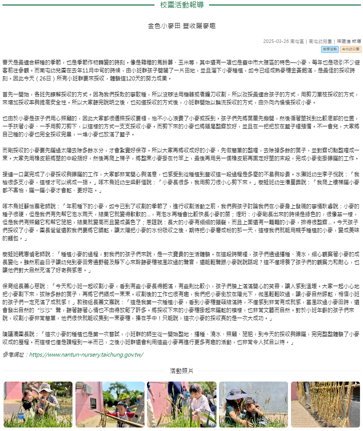 金色小麥田 豐收曬麥趣