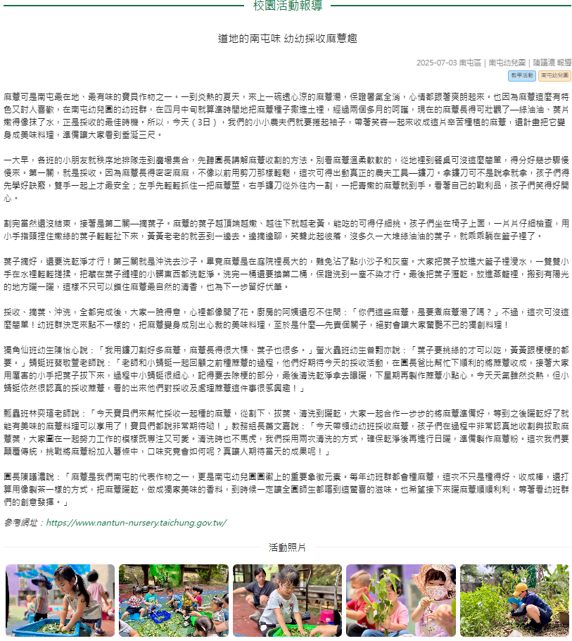 道地的南屯味 幼幼採收麻薏趣