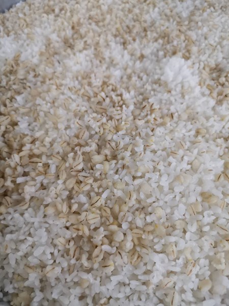燕麥飯