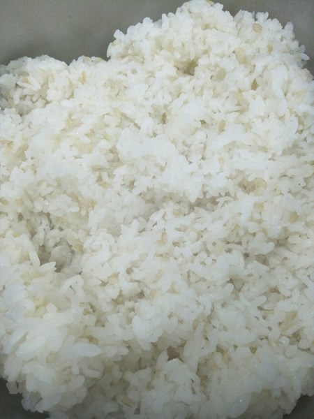 糙米飯
