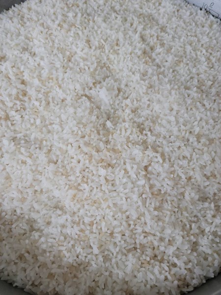 糙米飯