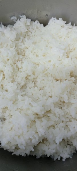 白米飯