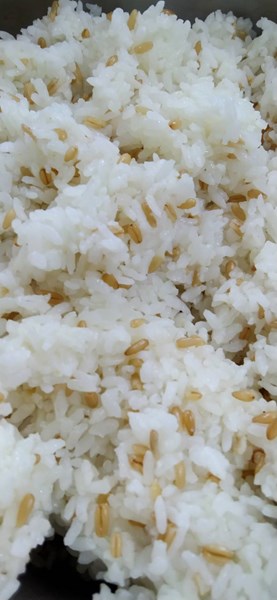 燕麥飯