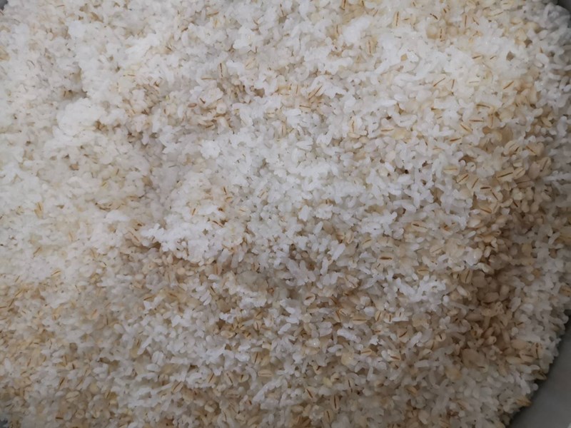 麥片泛