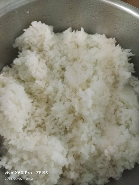 糙米飯
