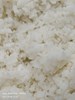 白米飯