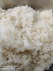 糙米飯