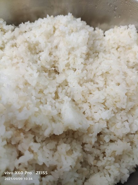 糙米飯