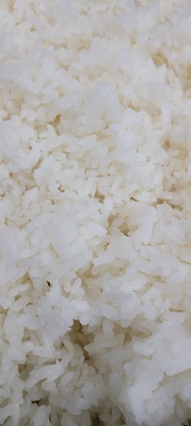 白米飯