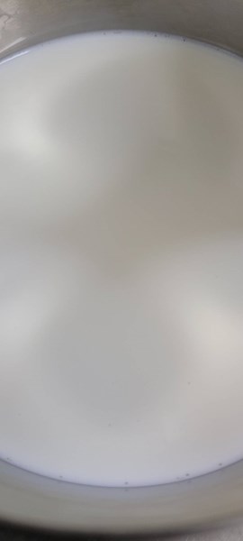 早點鮮奶