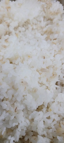 麥片飯