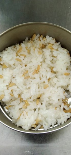 燕麥飯