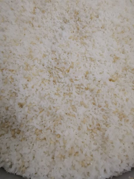 糙米飯