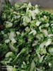 青菜