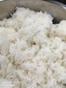 白米飯