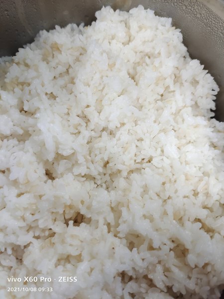 糙米飯