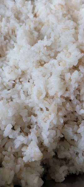 麥片飯