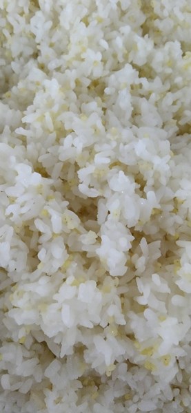 小米飯