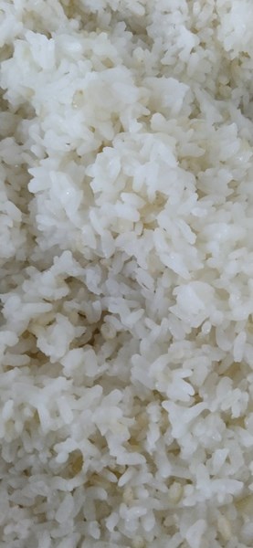 糙米飯