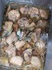 香菇雞