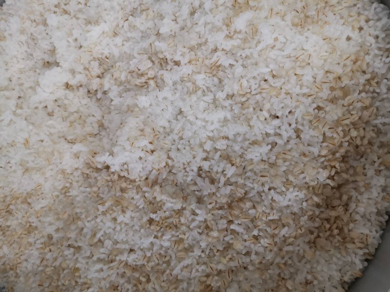 薏仁飯