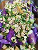 蒜香芝麻茄子