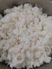 糙米飯