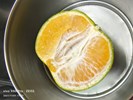 水果