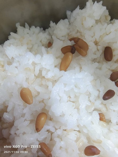 松子糙米飯