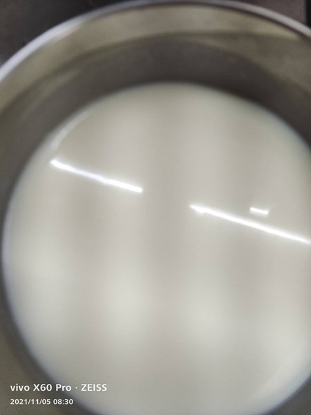 早點牛奶