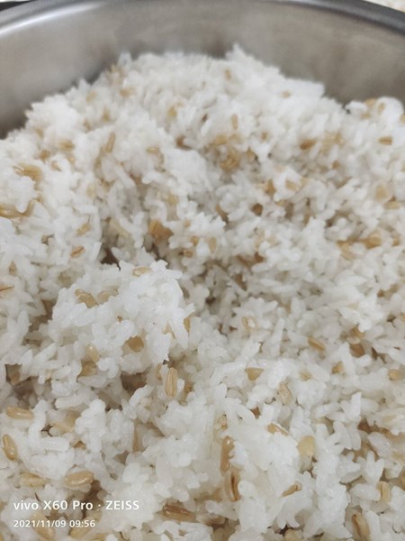 燕麥飯