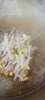 黃芽排骨湯