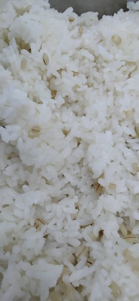 薏仁飯.