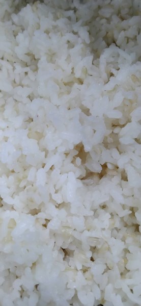 糙米飯