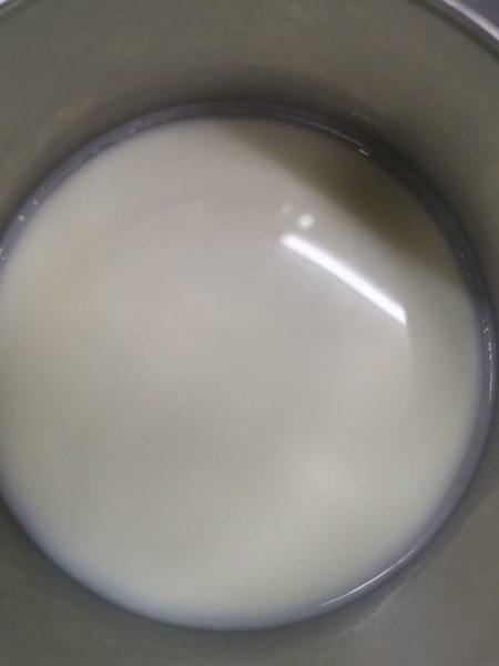 早點牛奶