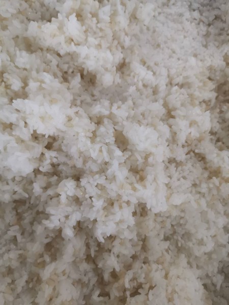 糙米飯