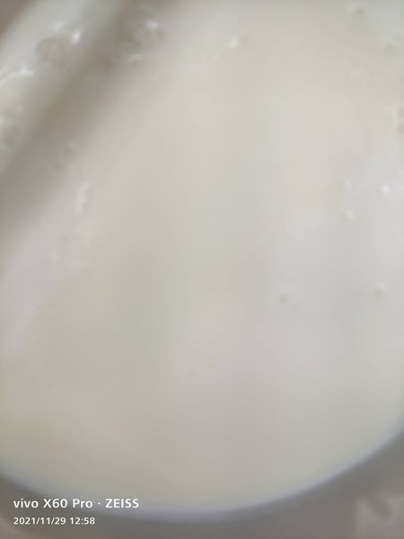 午點牛奶