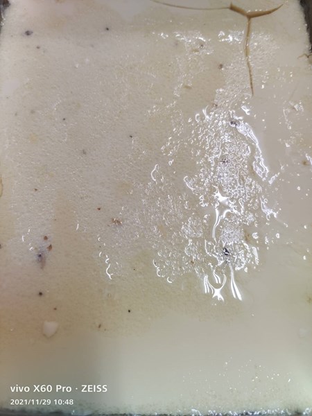 古早味蒸蛋
