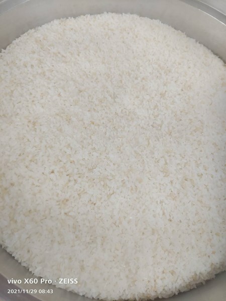 糙米飯