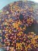 午點紅棗飲