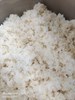 糙米飯