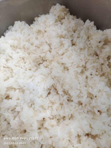 糙米飯