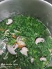 波菜鮮菇湯