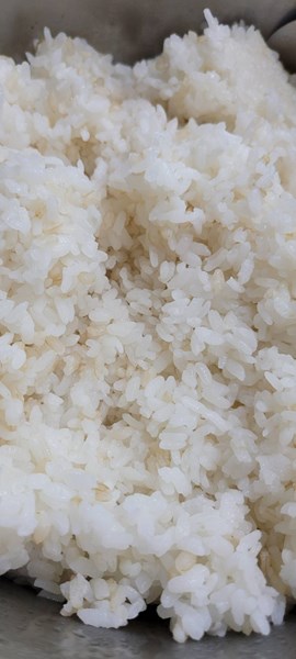 糙米飯