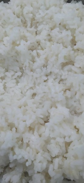 糙米飯