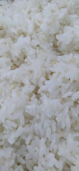 糙米飯