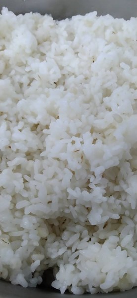 麥片飯